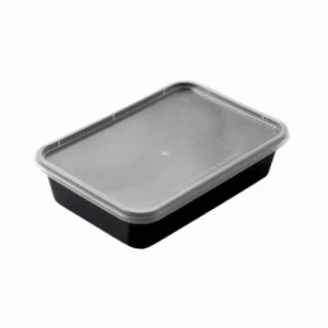 Disposable Packaging Box