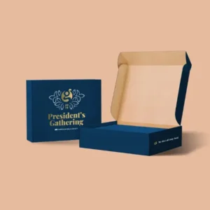 Mailer Packaging Boxes
